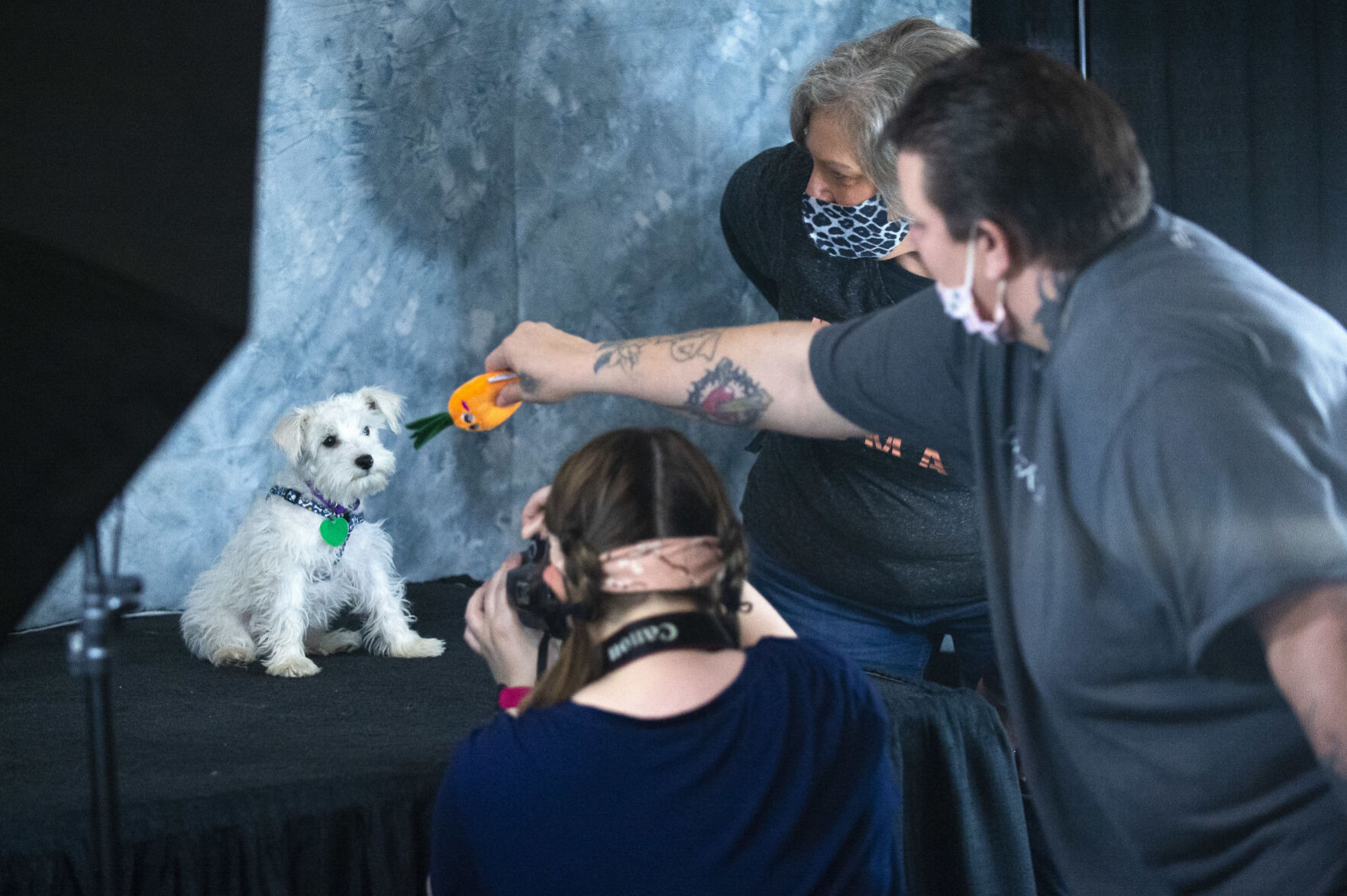 I love my dog expo 4.18
